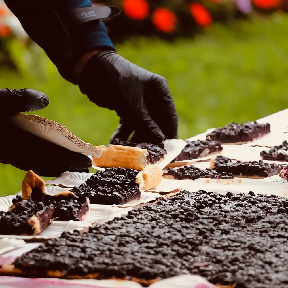 lumoscreation-ga-photo-1