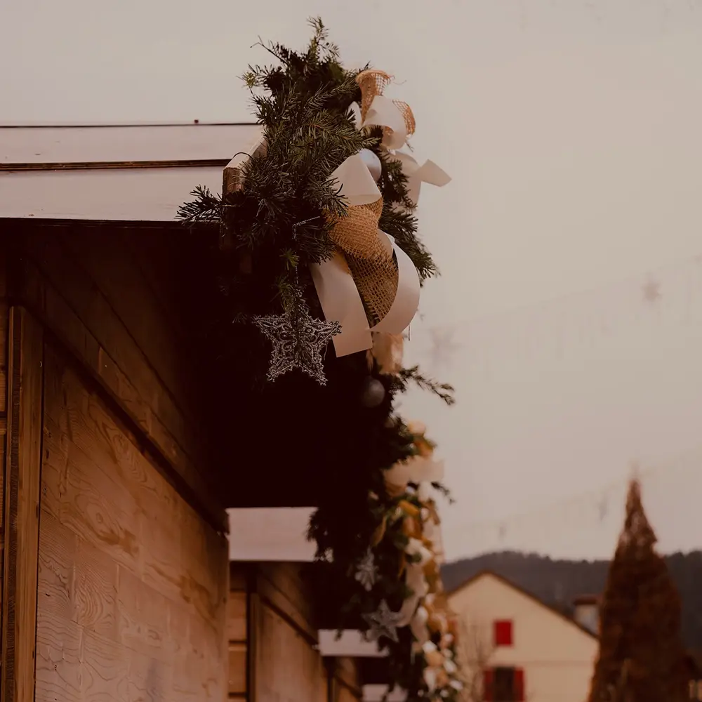 lumoscreation-ga-photo-2