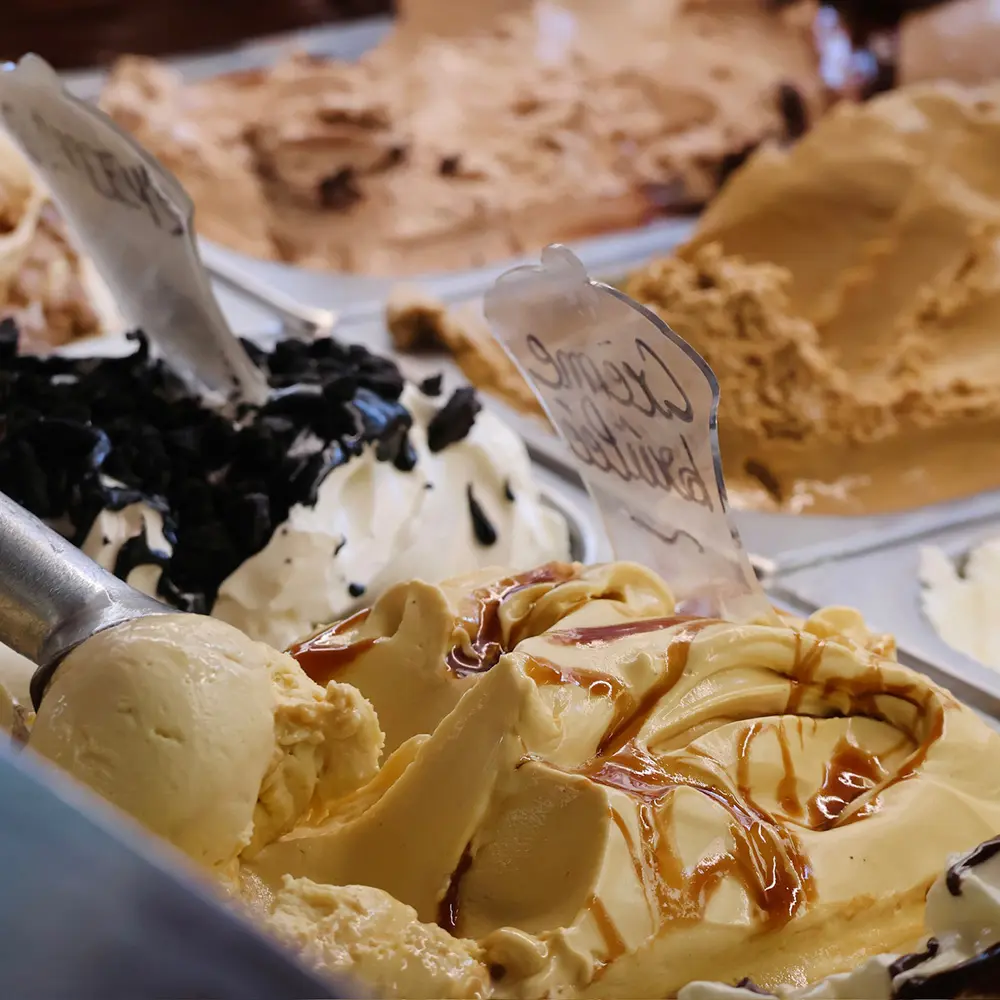 lumoscreation-gdv-photo-9