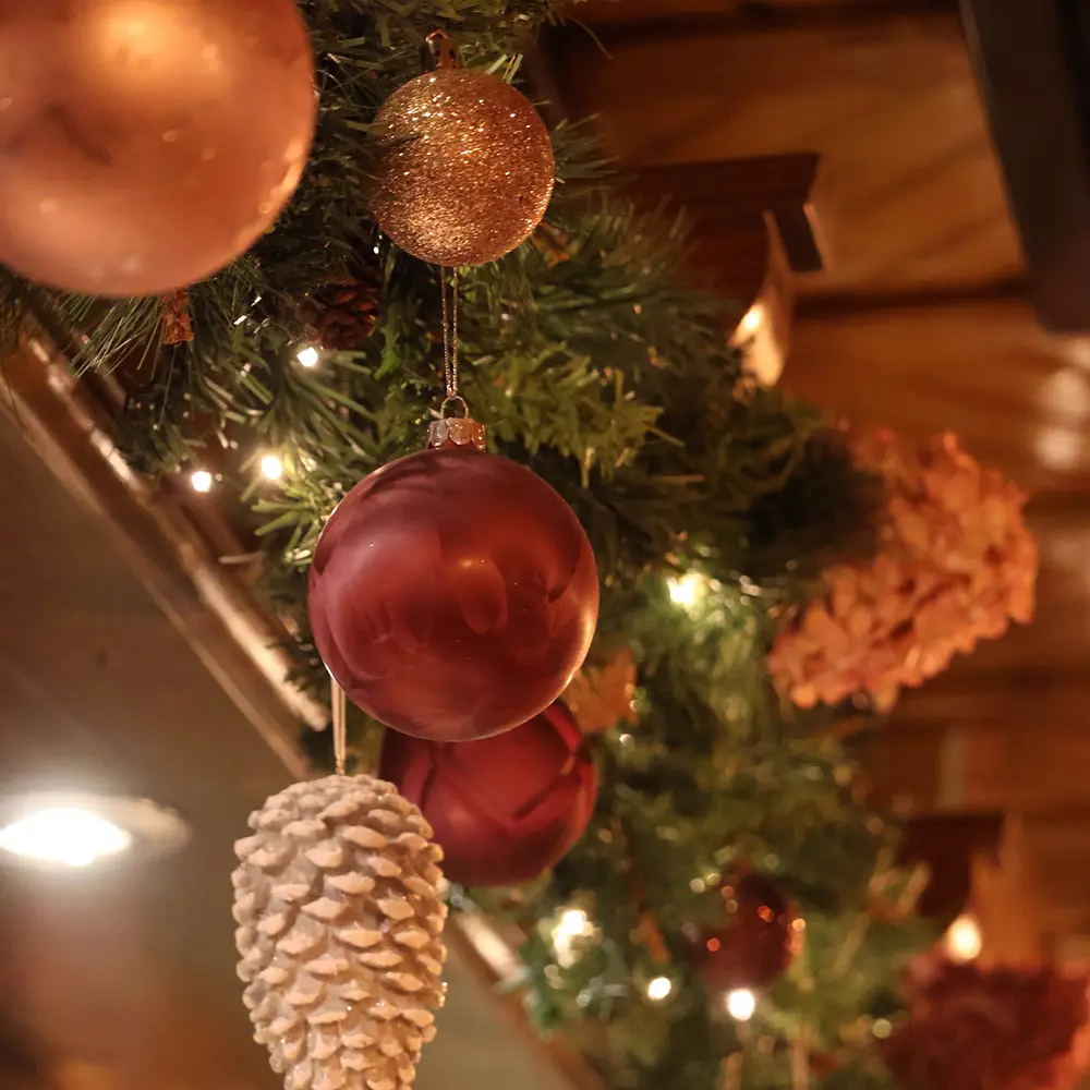 lumoscreation-lpdf-photo-2