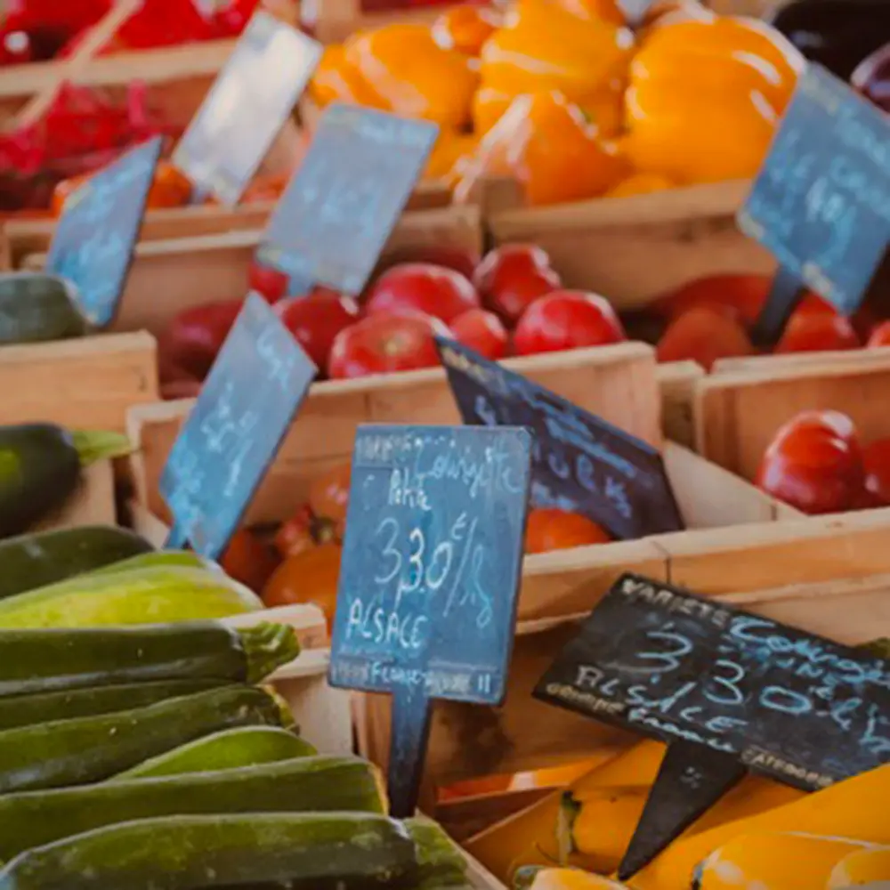 lumoscreation-lpdf-photo-8